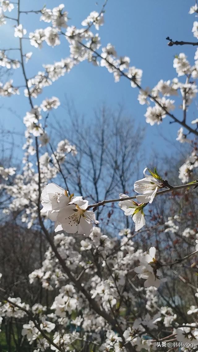 視頻過(guò)長(zhǎng)怎么發(fā)送微信，微信沒(méi)辦法發(fā)送？