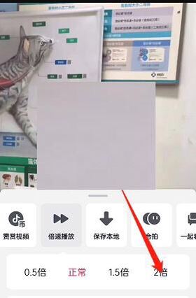 抖音按住屏幕會(huì)2倍快進(jìn)怎么開(kāi)？