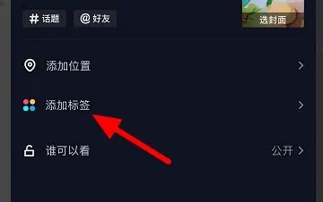 抖音上照片上的標(biāo)簽如何添加？