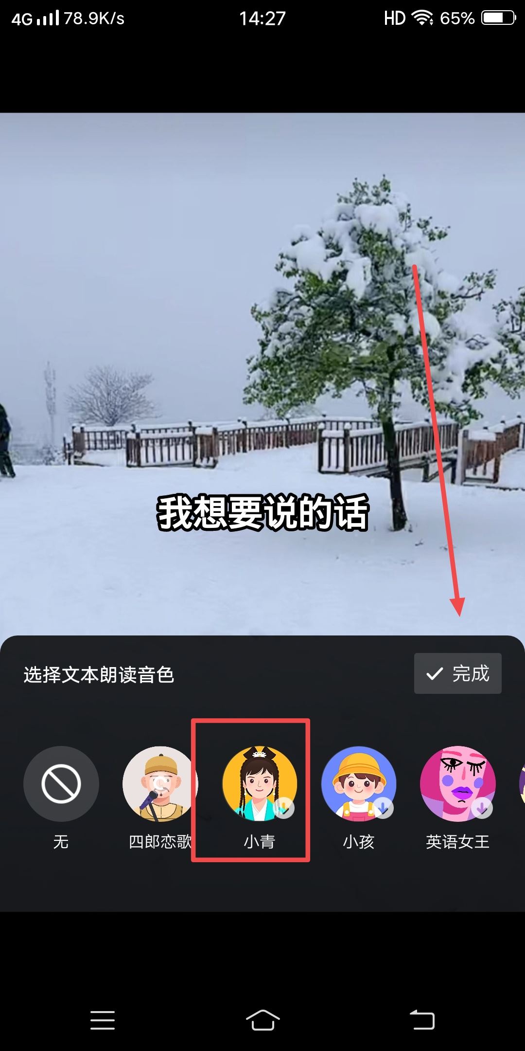 抖音發(fā)視頻怎么配自己想說的話？